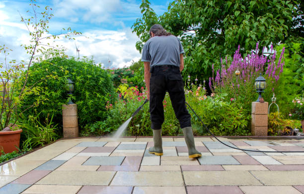 Trusted Black Forest, CO Pressure Washing Experts